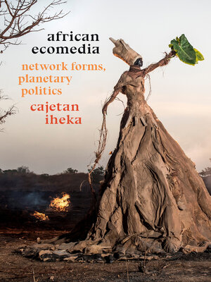 cover image of African Ecomedia